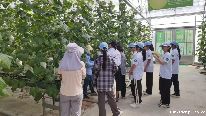 cd18ad6c6e96a5251ea7ac2e08d1379a.png 图片.png