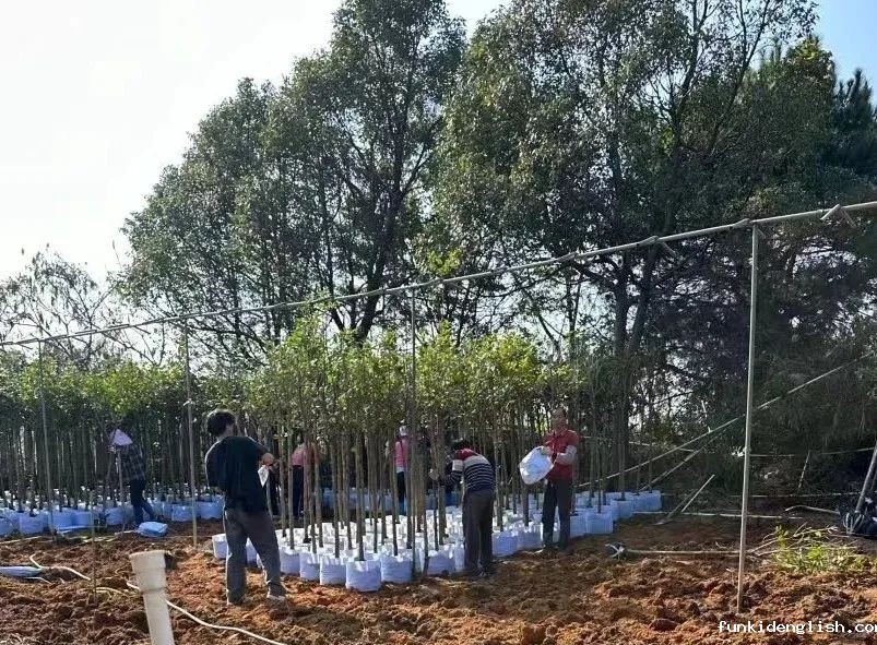 d20759d94bd58ccec3f2673e9288b070.jpg d20759d94bd58ccec3f2673e9288b070.jpg