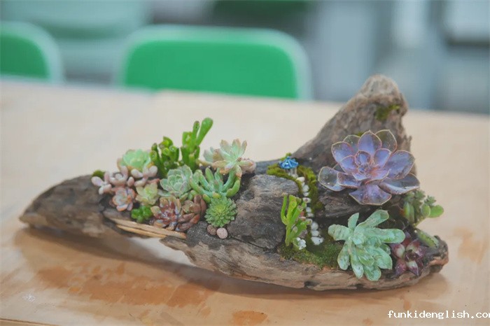 2497df87921a17494a80572e2ec695bc.jpg 16.jpg