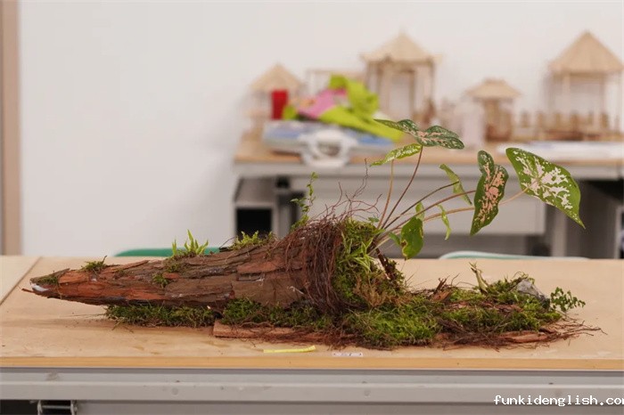 5271aac0723399ed81738353bf9d2ebe.jpg 20.jpg