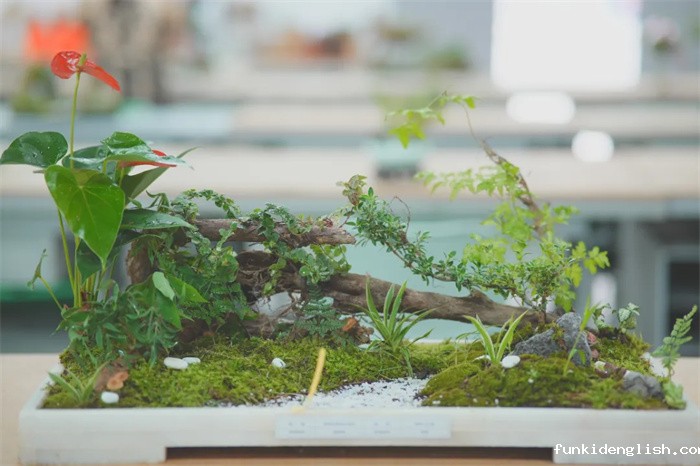 53129b32a1be8ccf8d4eb5e19d8c759e.jpg 14.jpg