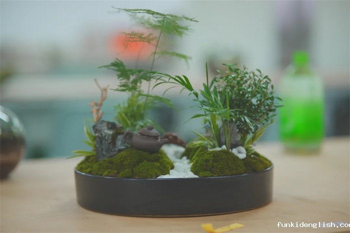 5af1f8a05103bece65bb4392431226a6.jpg 24.jpg