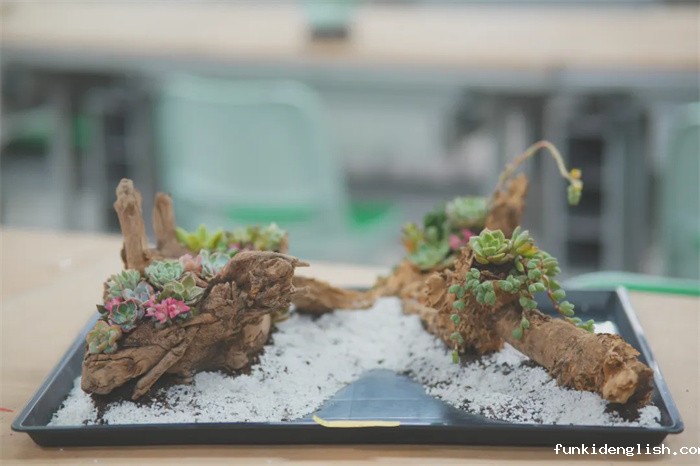 77ee3a10eda1edd81cb55502cc6bba49.jpg 15.jpg