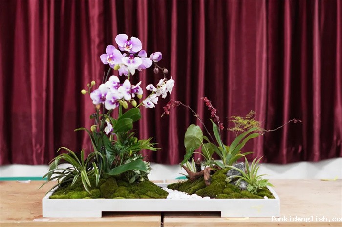 b846b0cb903cd88424ba6a6c91c8a493.jpg 23.jpg