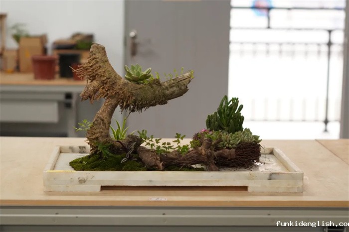 b90eba35b2bd95291c6dfee174bfe9e3.jpg 21.jpg