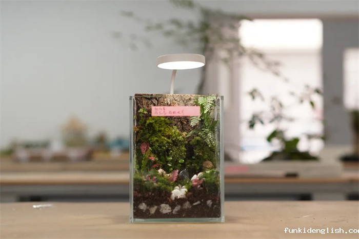 c67e9c8af75a0ea58c5acaf41bfb4ae8.jpg 19.jpg