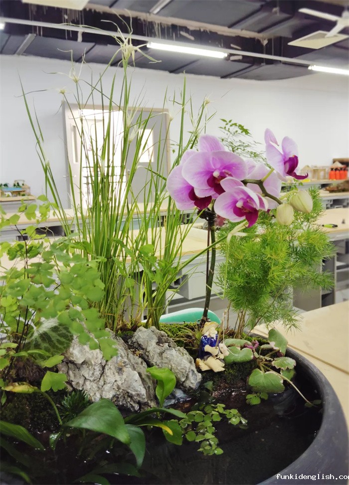 e87ba42ba3d6a6bb49ed7c183defc302.jpg 22.jpg