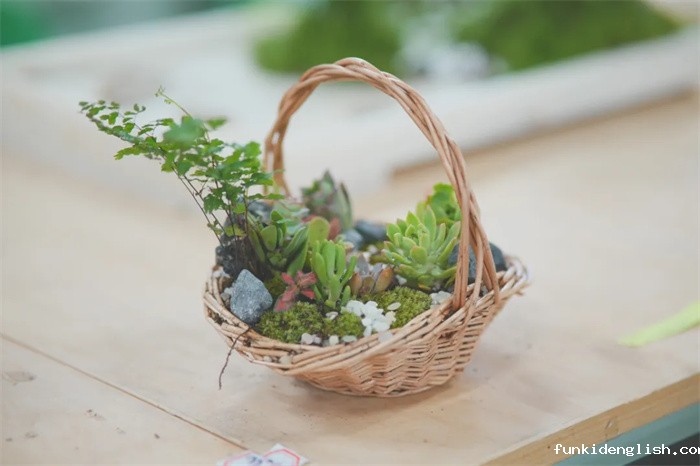 fa47a5b108ac7b9789a61307f3f755be.jpg 18.jpg