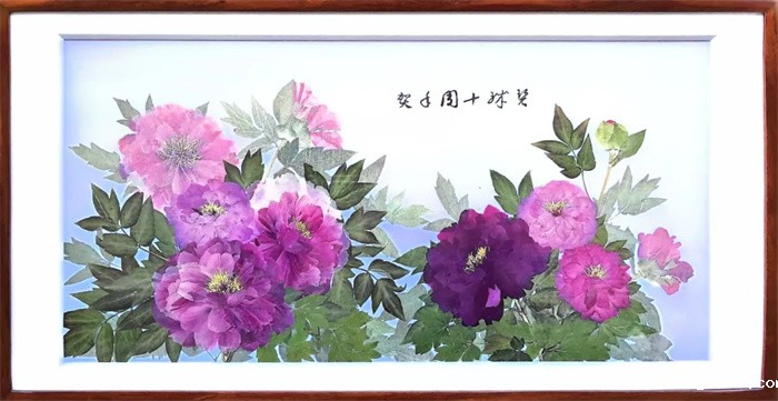 1e864cbe1eb6ca526205c53804b32ba7.jpg 1.jpg