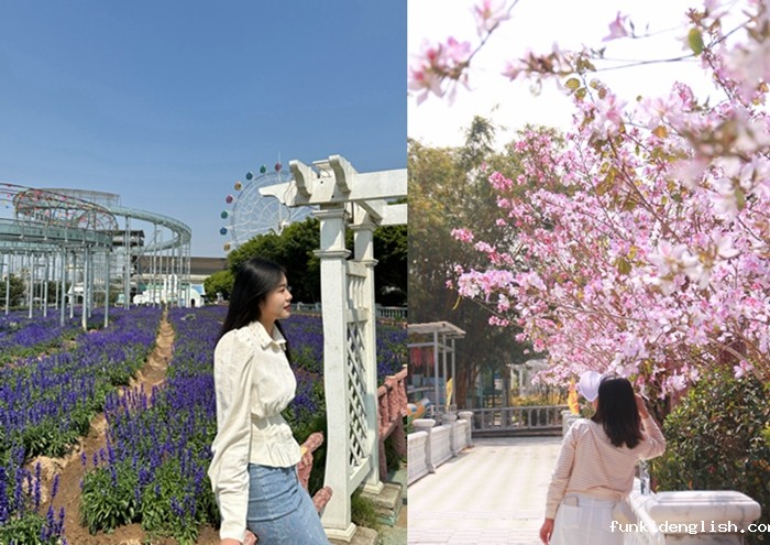 ed21f2506a358fb042fda93a4feccc78.jpg 3.jpg