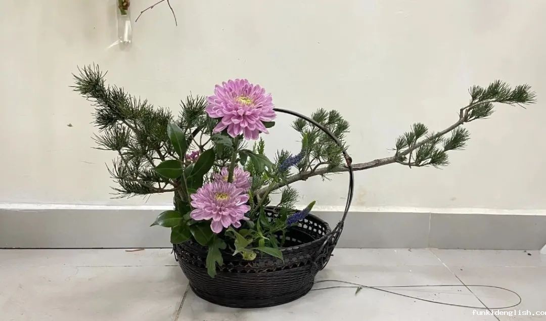 29504d990ed0b82bb61816f50fc0f5db.jpg 29504d990ed0b82bb61816f50fc0f5db.jpg